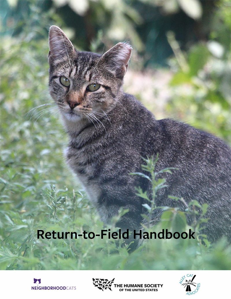 Return-to-Field Handbook