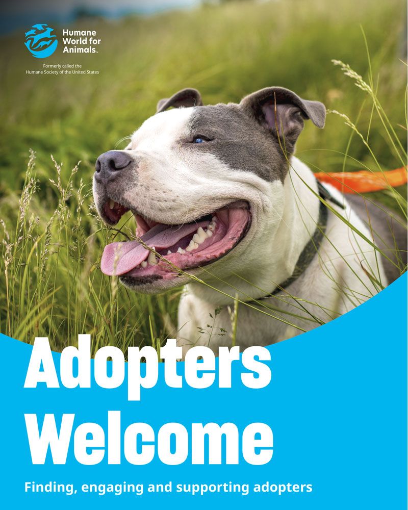 adopters welcome finding engaging and supporting adopters