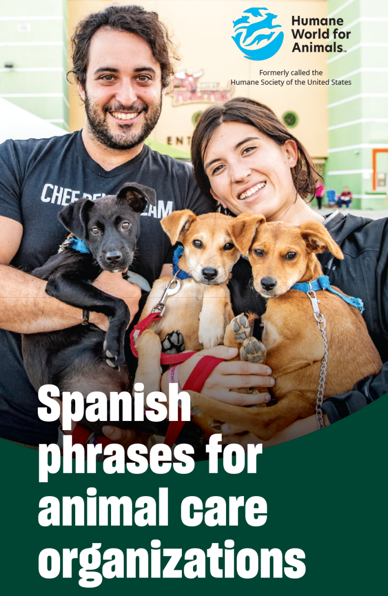 Spanish Phrases for Animal Care Organizations
