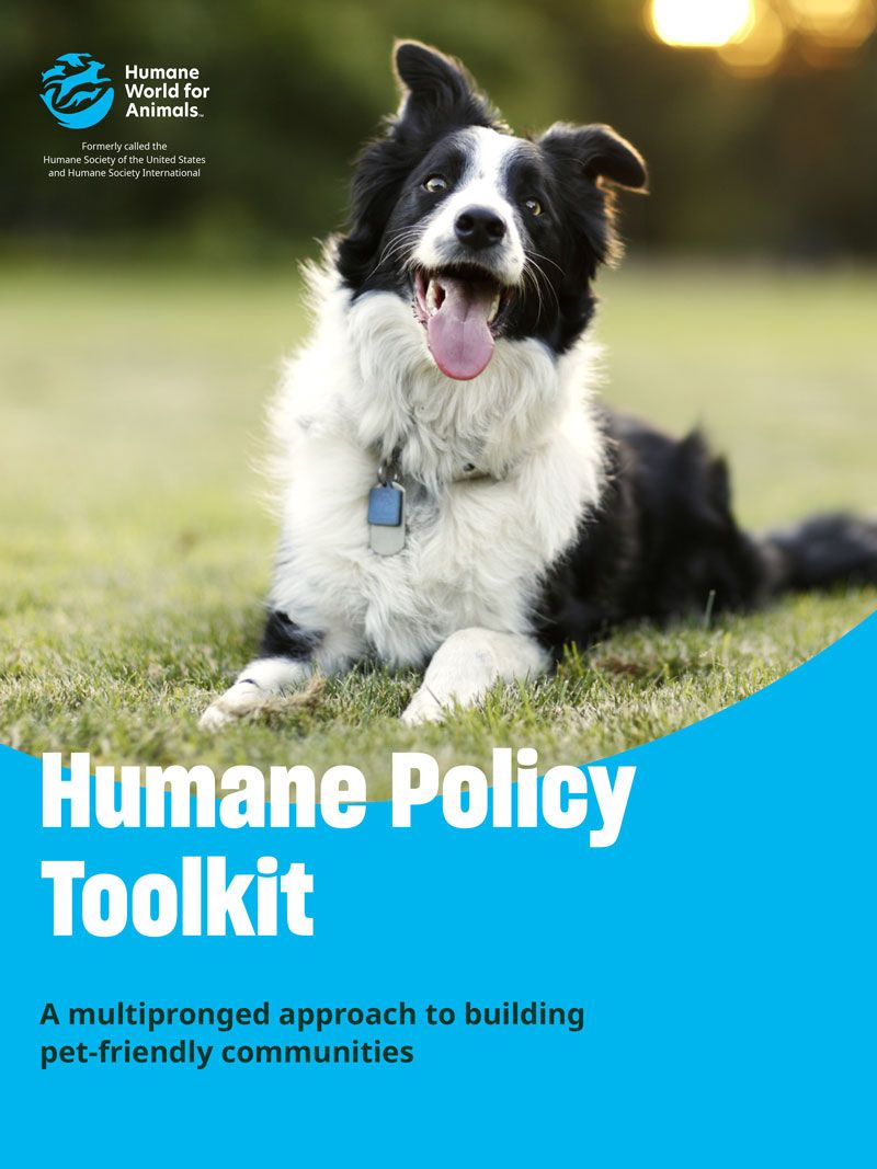 Humane Policy Toolkit
