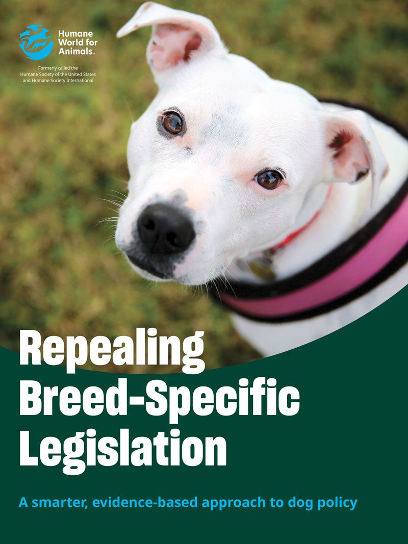 Repealing breed-specific legislation manual
