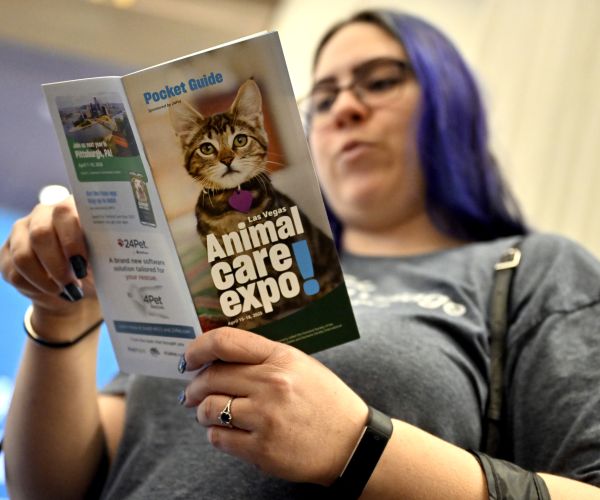 Person looking at a pocket guide