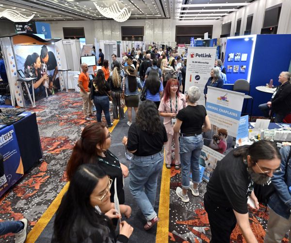 Exhibit Hall 2025