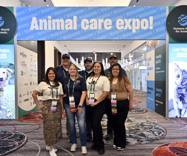 Group of attendees under an Expo sign