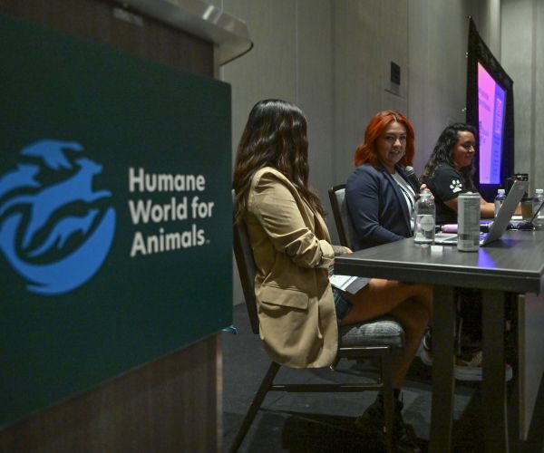 Panel of speakers