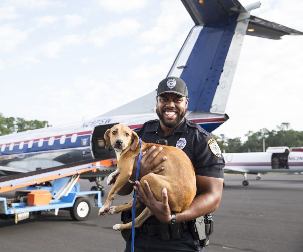 an animal control officer holds a dog in front of a grounded plane