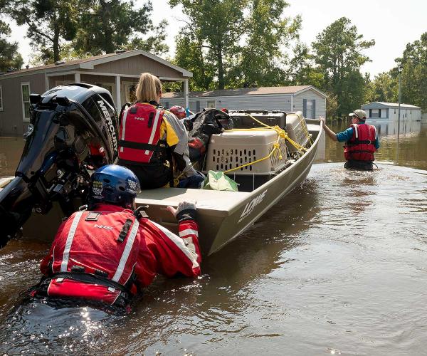 Shelter + Rescue Operations | HumanePro By The Humane Society Of The ...