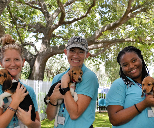 three women pose while holding puppies