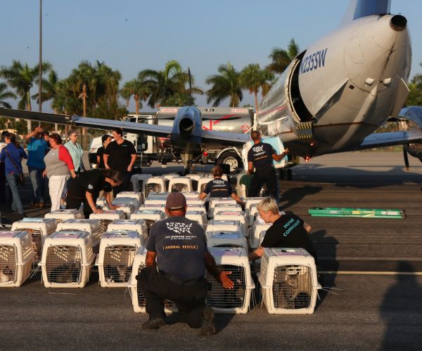a long row of crates lined up in front of an airplane
