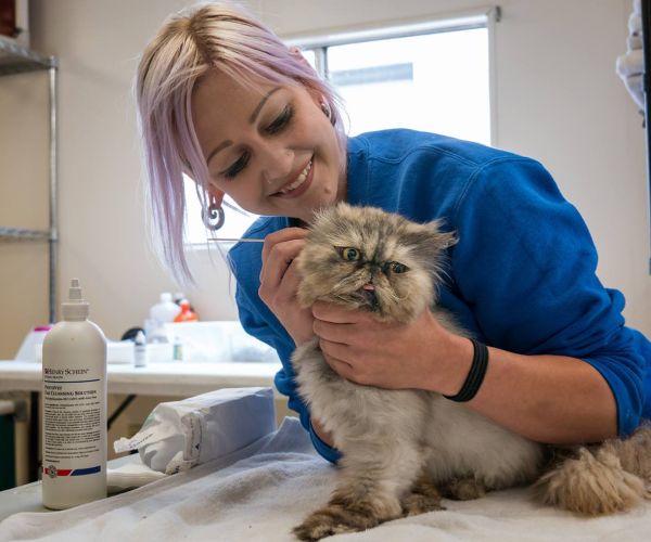 Shelter Medicine