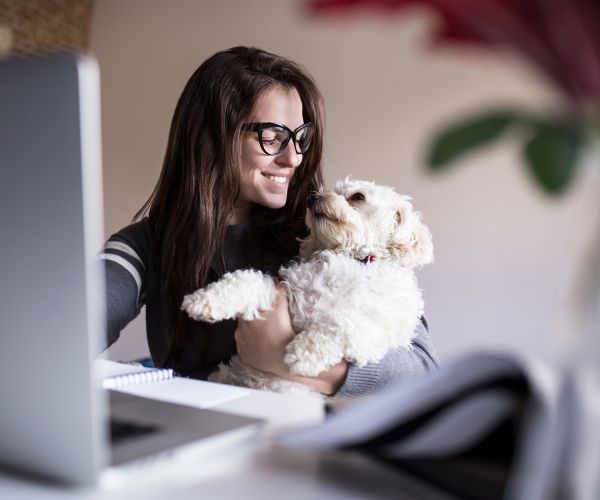 a woman on her laptop looking and smiling at her dog