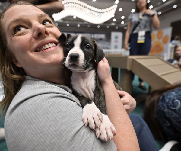 Woman holding a puppy