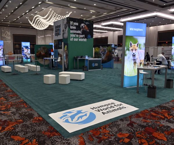 Humane World for Animals Booth