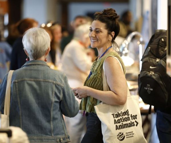Attendees chat at Taking Action for Animals 2025