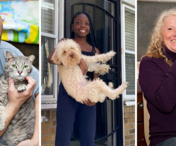 collage of a man with a cat, a girl with a dog, and and a woman with a cat