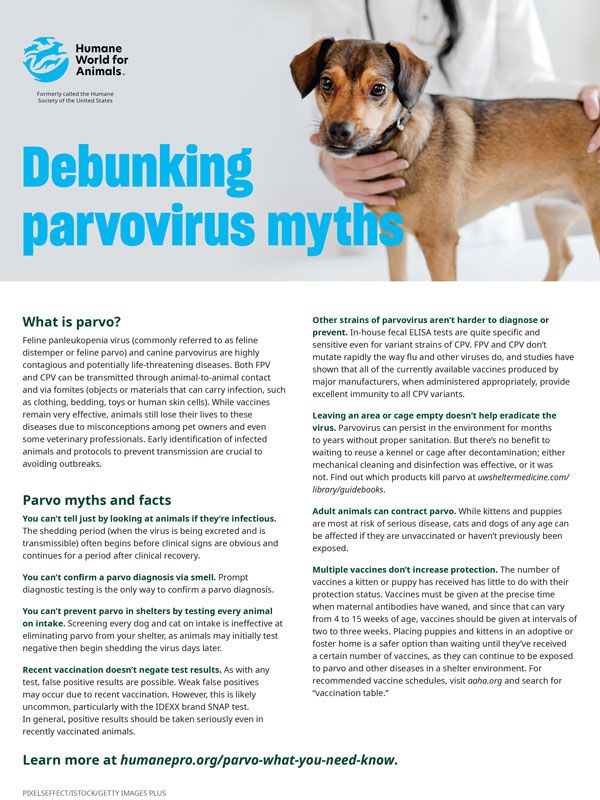 Debunking parvo myths
