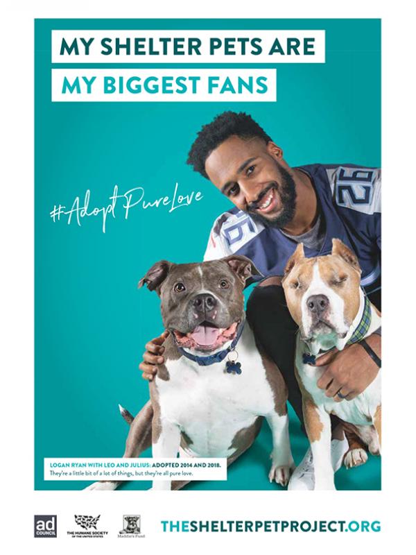 My shelter pets are my biggest fans | HumanePro by The Humane Society of  the United States