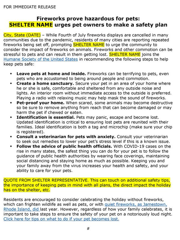 4th of July Press Release Template