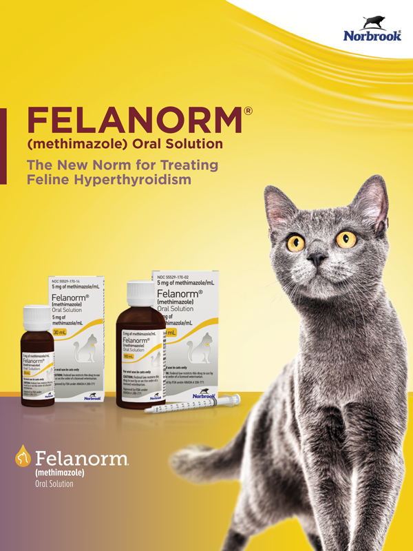 Felanorm by Norbrook: The new norm for treating feline hyperthyroidism