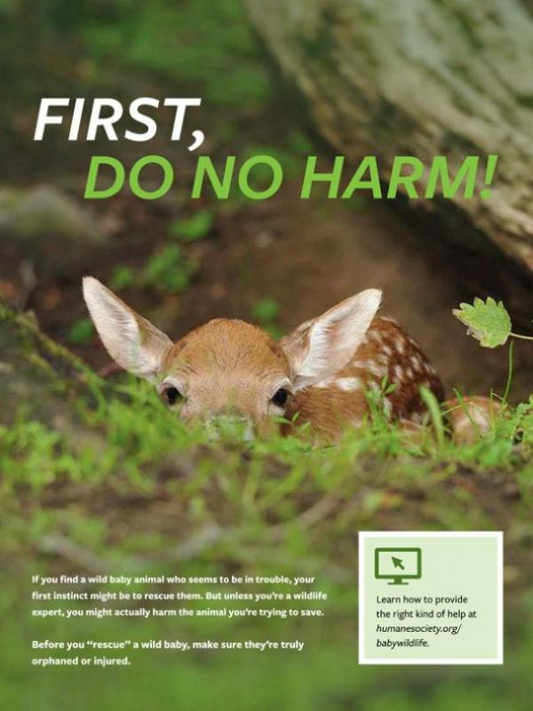 First, do no harm | HumanePro by The Humane Society of the United States