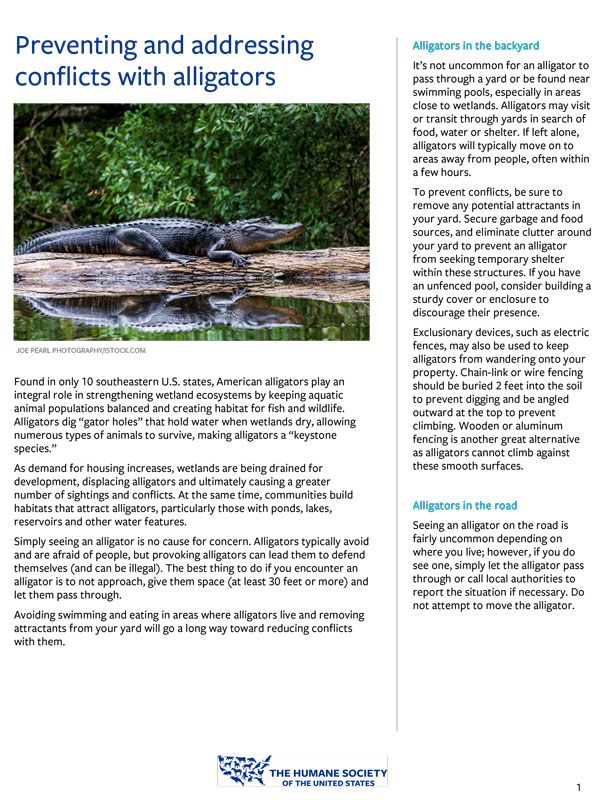 Preventing and addressing conflicts with alligators