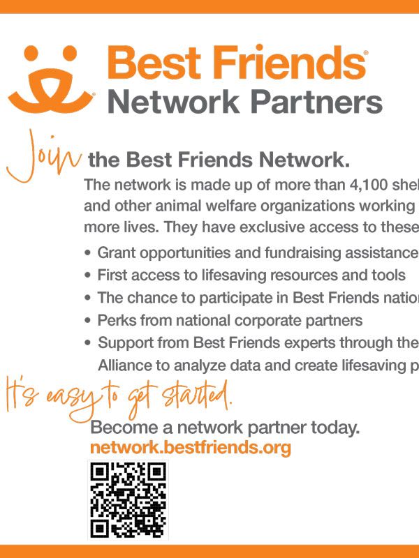 Best Friends Network Partners