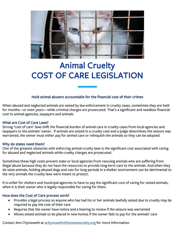 Cost of Care factsheet