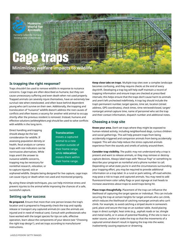 Cage traps minimizing welfare impacts to wildlife