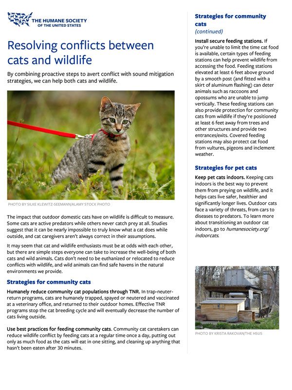Wildlife fact sheets | HumanePro by The Humane Society of the 