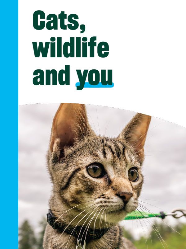 Cats, wildlife and you