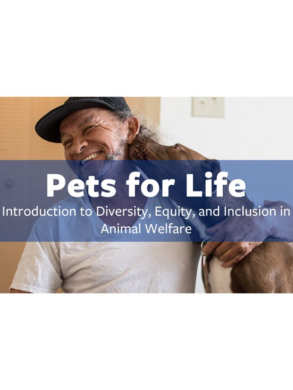 Introduction to Diversity, Equity, and Inclusion in Animal Welfare