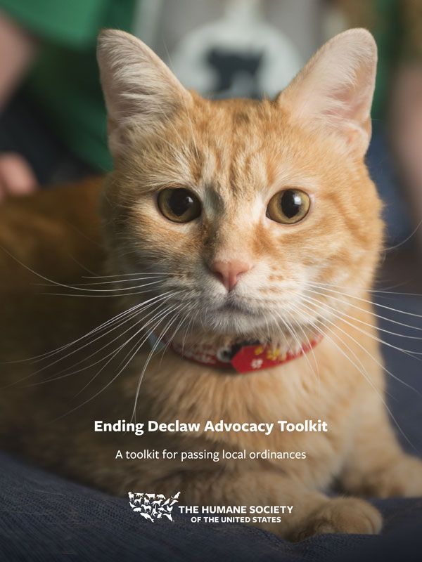 Ending Declaw Advocacy Toolkit