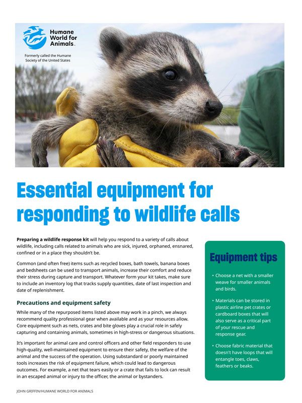 Essential equipment for responding to wildlife calls