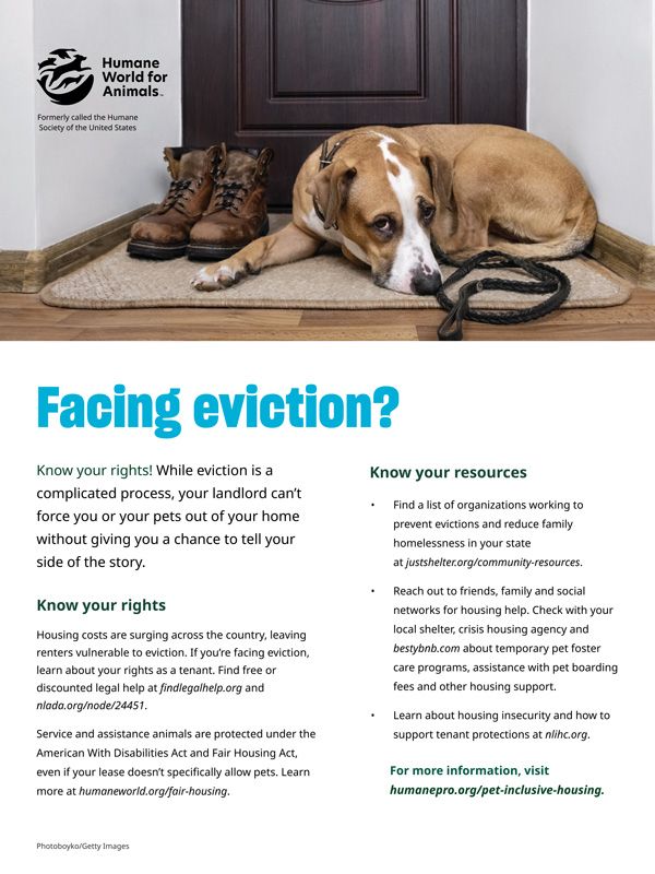 Facing eviction? Don't panic
