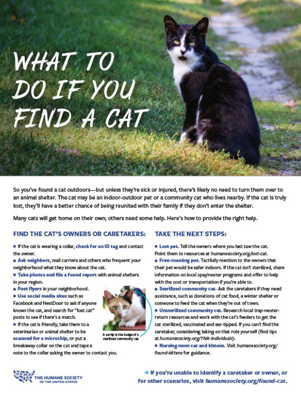 Fact sheet: Straw for outdoor paws  HumanePro by The Humane Society of the  United States