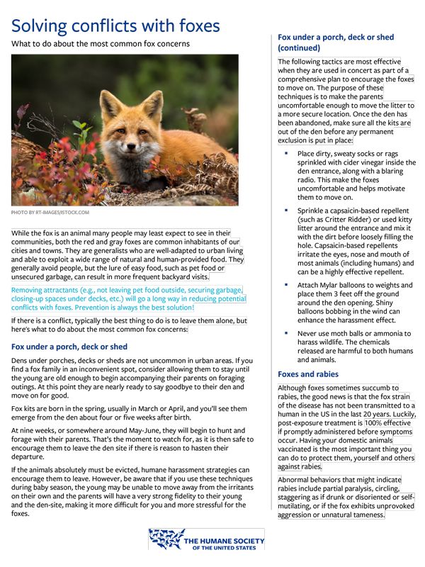 Wildlife fact sheets | HumanePro by The Humane Society of the United States