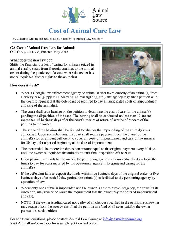 Georgia Cost of Care Law Factsheet