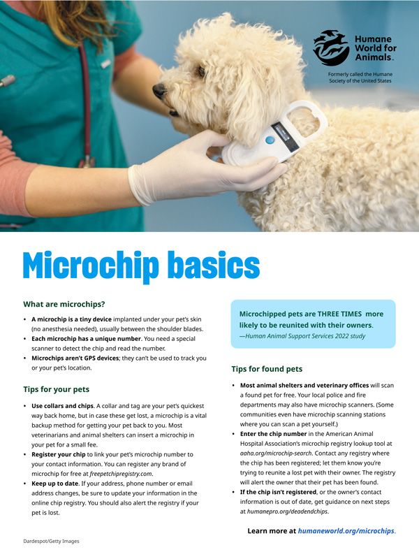 microchip basics