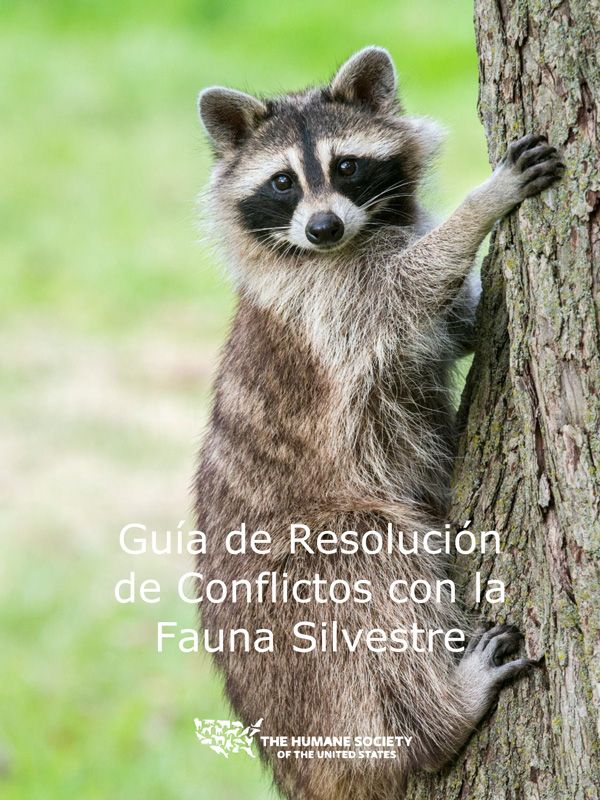 Guía de Resolución de Conflictos con la Fauna Silvestre