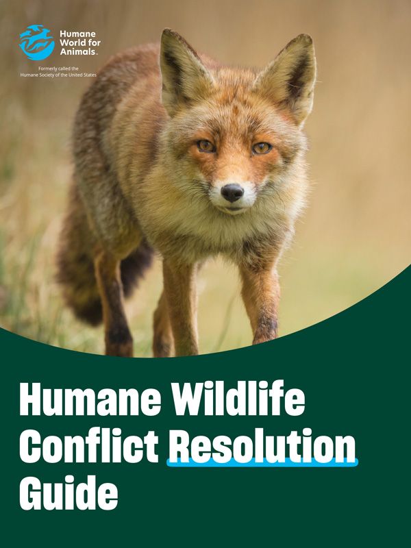 Humane Wildlife Conflict Resolution Guide
