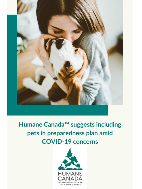 Include pets in preparedness plans amid COVID-19 concerns