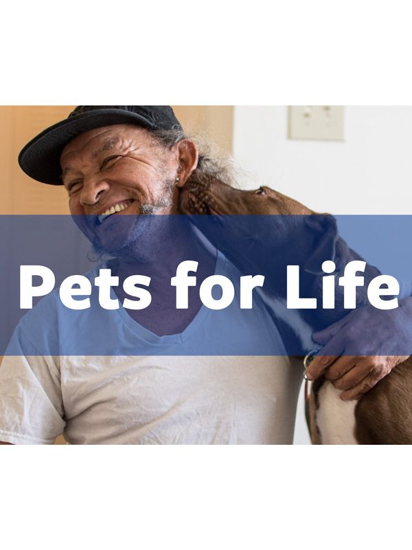 Pets for Life and social justice