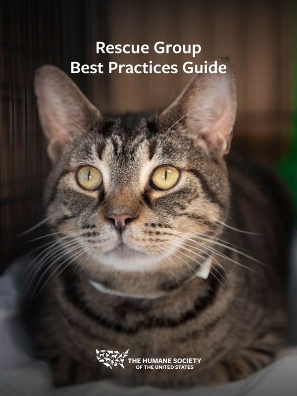 Rescue Group Best Practices Guide