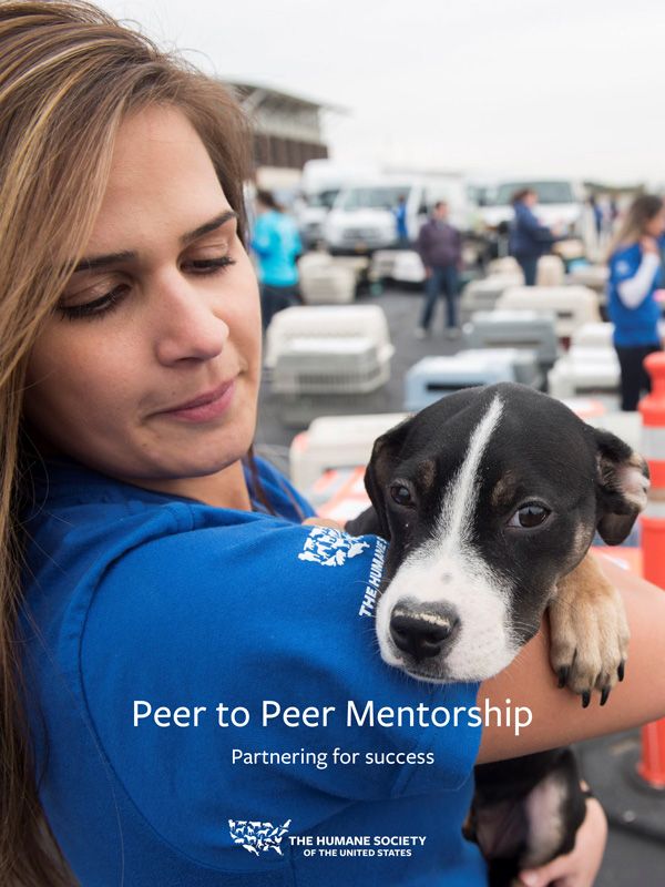The Shelter Ally Project Mentorship Guide