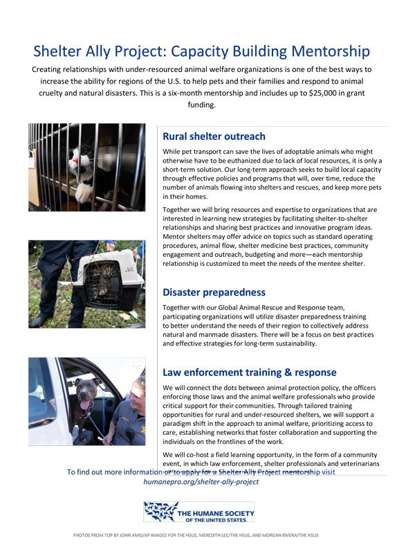 Shelter Ally Project: Capacity Building Mentorship