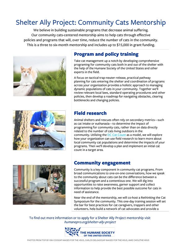 Shelter Ally Project: Community Cats Mentorship