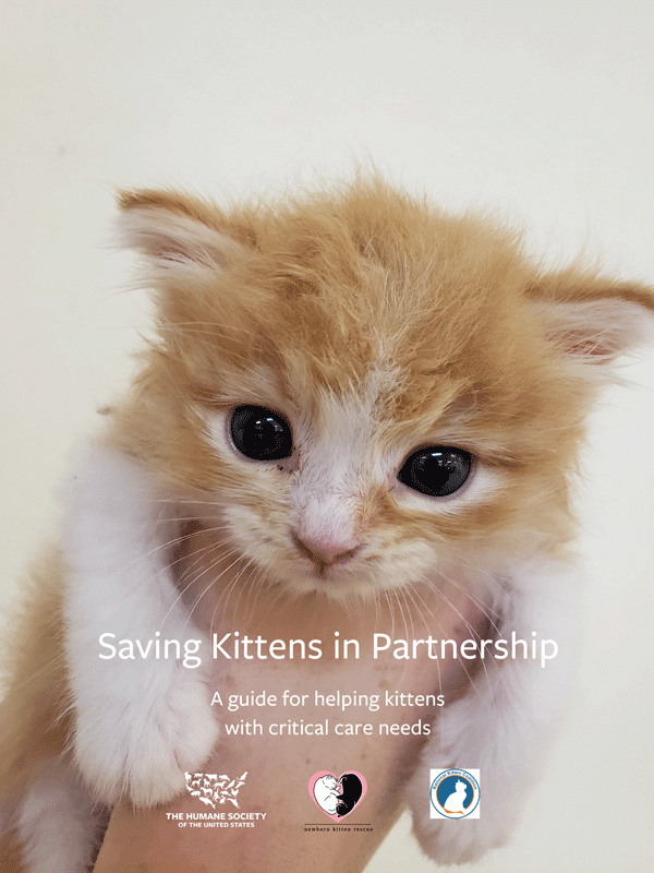 Saving Kittens in Partnership: A guide for helping kittens with critical care needs