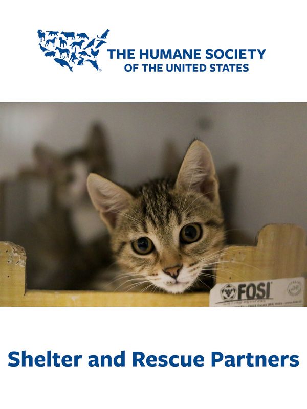 HSUS: Shelter and Rescue Partners