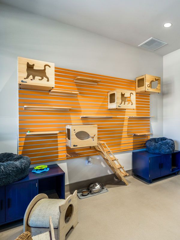 Shelter Design, Part 2 Key Takeaways