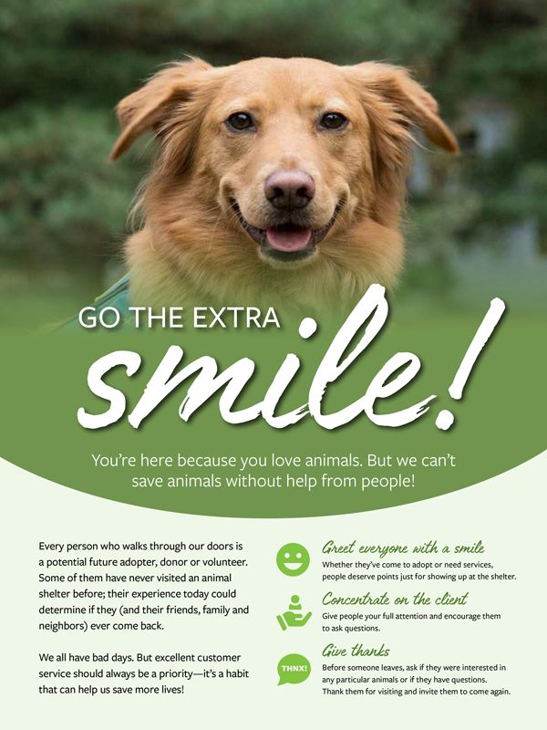 Go the extra smile!